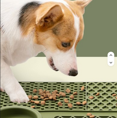 Slow Feeder Bowl Mat